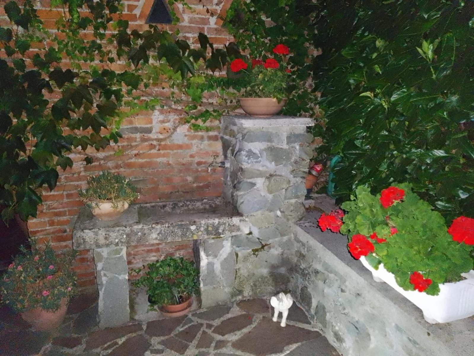 Le Sette Fontane Hotel Barga Luaran gambar